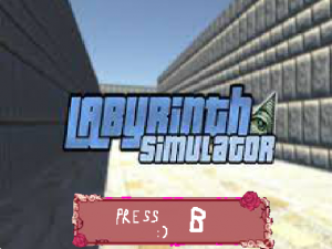 Labyrinth simulator